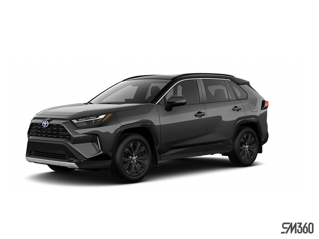 Toyota RAV4 gris, vue de trois quarts